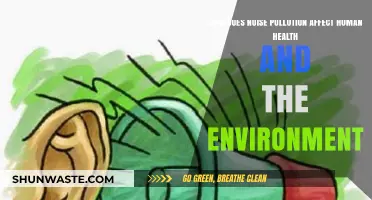 Noise Pollution's Impact: Human Health and Environmental Consequences Explored
