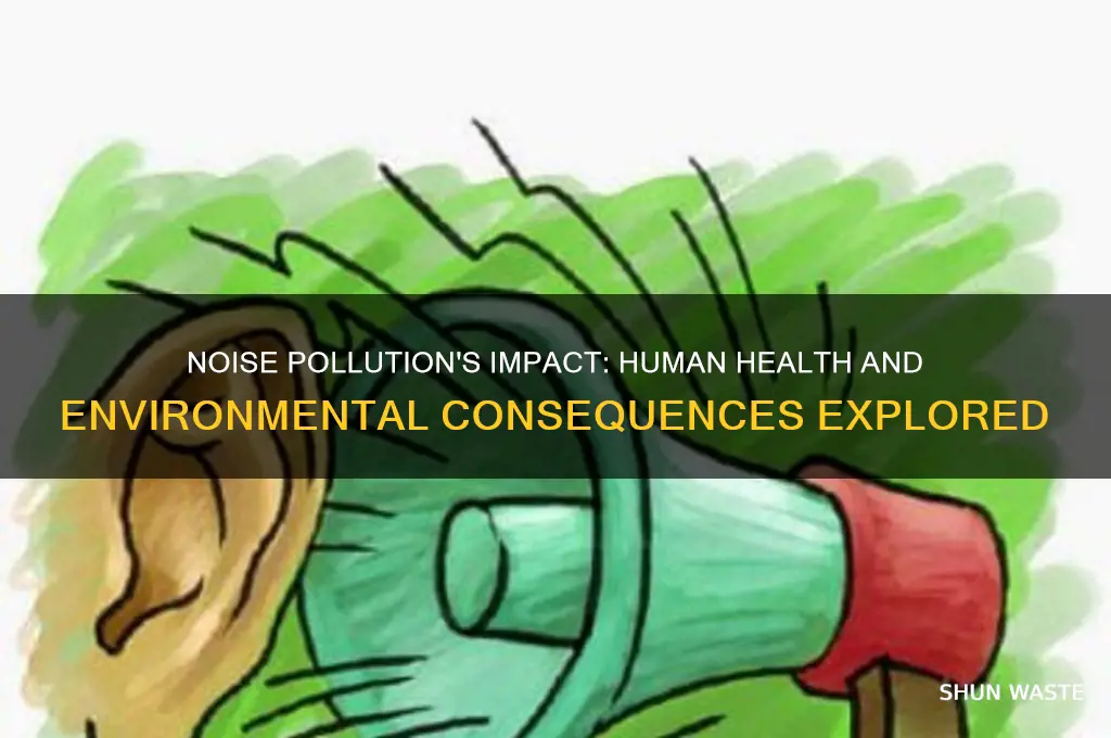 how does noise pollution affect human health and the environment