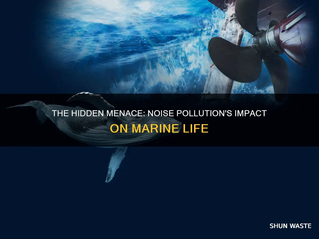 how does noise pollution affect marine environment