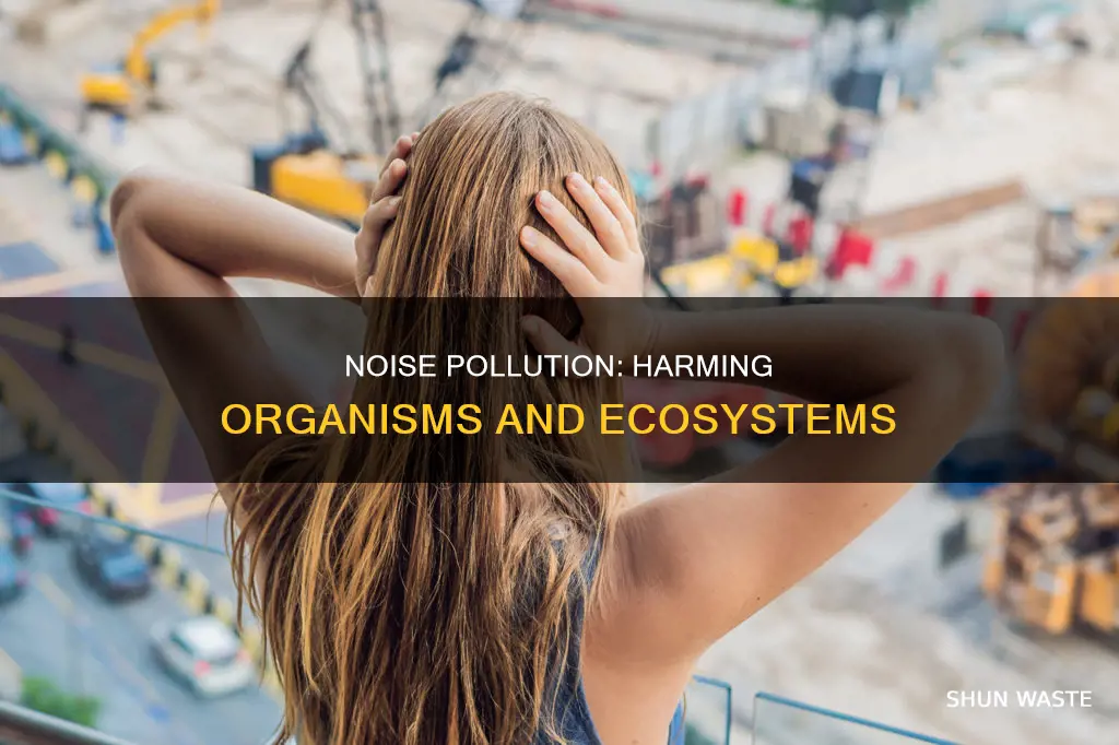 how does noise pollution affect organisms in the environment