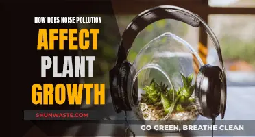 Noise Pollution: Impacting Plant Growth and Health