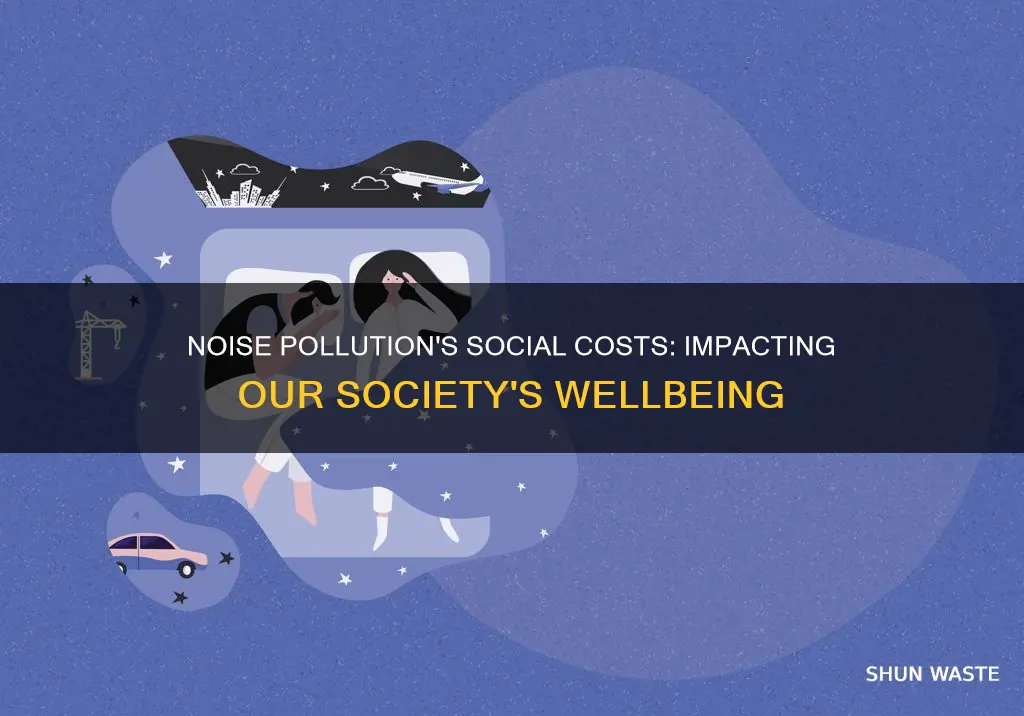 how does noise pollution affect social costs