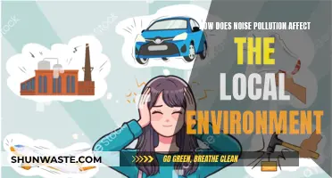 Noise Pollution: Harming Our Local Environment and Ecosystems