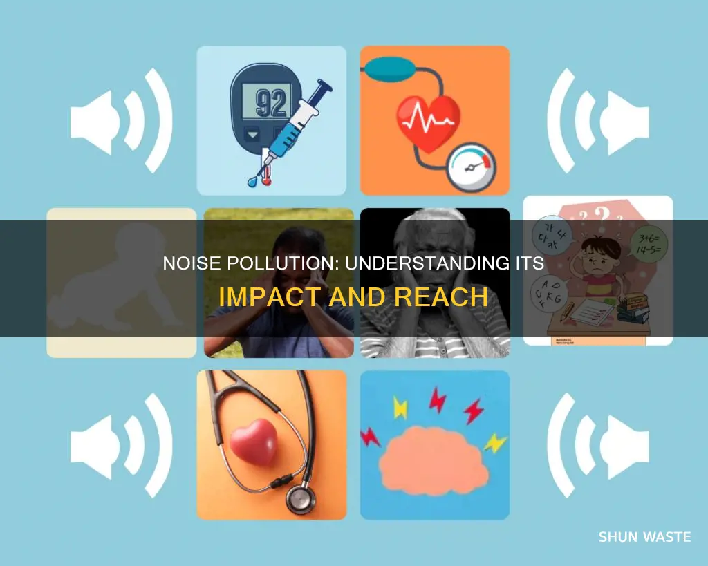 how does noise pollution affect