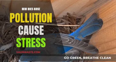 Noise Pollution: Understanding Stress-Causing Mechanisms