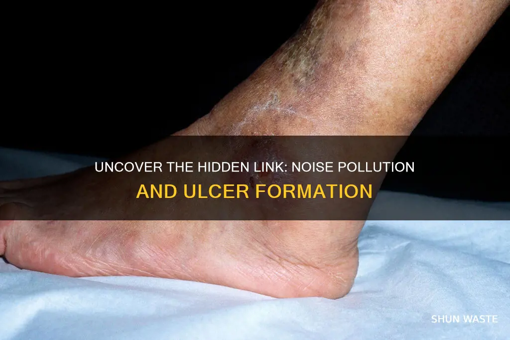 how does noise pollution cause ulcer