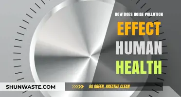 Noise Pollution: Harmful Effects on Human Health