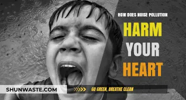 Noise Pollution: Harming Your Heart's Health