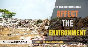Non-Biodegradable Waste: Environmental Impact and Sustainable Solutions Explained