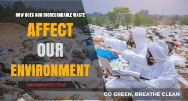 Non-Biodegradable Waste: Environmental Impact and Sustainable Solutions