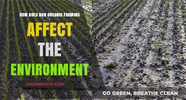 Non-Organic Farming's Environmental Impact: Soil, Water, and Biodiversity at Risk