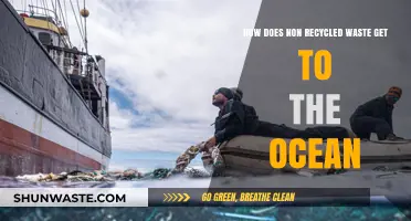 From Land to Sea: The Journey of Unrecycled Waste to Oceans