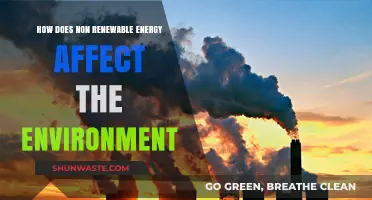 Non-Renewable Energy's Environmental Impact: Pollution, Climate Change, and Depletion