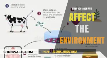 Meat's Environmental Impact: How Non-Veg Diets Affect Our Planet