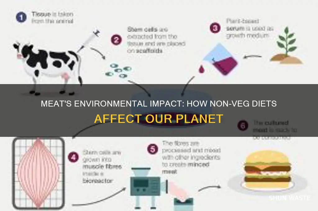 how does non veg affect the environment