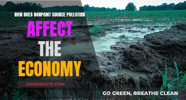 Nonpoint Source Pollution: Economic Impact and Environmental Cost