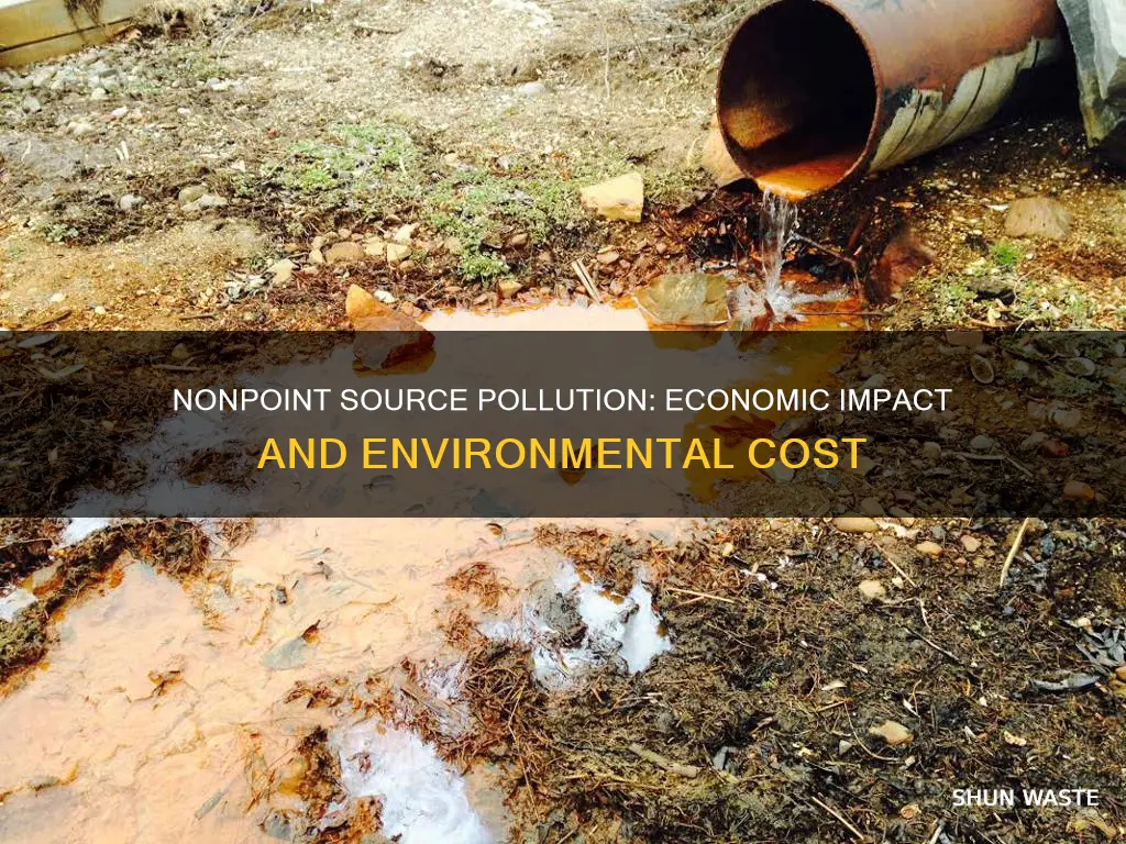 how does nonpoint source pollution affect the economy