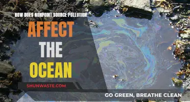 Ocean Pollution: Nonpoint Sources, Large Impact