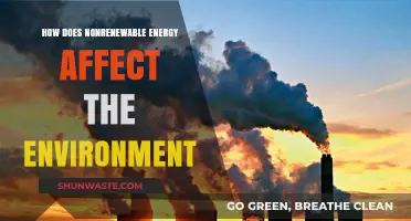 Nonrenewable Energy's Environmental Impact: Pollution, Climate Change, and Ecosystem Destruction