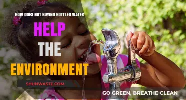 Ditch Bottled Water: Simple Eco-Friendly Choice for a Greener Planet