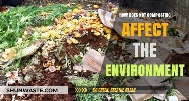 Skipping Composting: How It Harms Our Environment and Planet