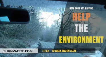 Reducing Emissions: How Choosing Not to Drive Benefits Our Planet