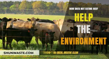 Skipping Beef: A Powerful Step Toward a Greener Planet