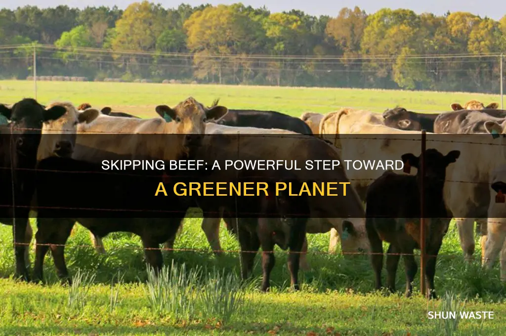 how does not eating beef help the environment