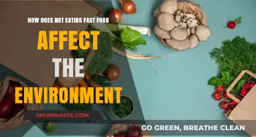 Skipping Fast Food: A Sustainable Choice for Our Planet's Health