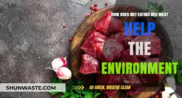 Skipping Red Meat: A Simple Step for a Greener Planet