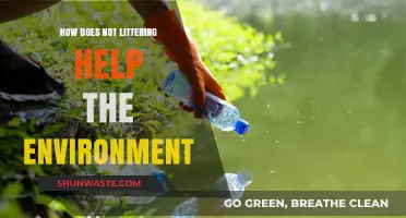 How Not Littering Protects Ecosystems and Preserves Our Planet's Health