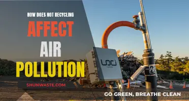 Air Pollution: Recycling's Impact and Our Role