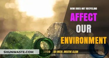 The Devastating Environmental Impact of Neglecting Recycling Practices