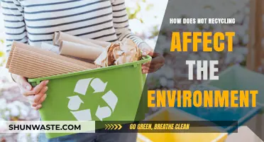 The Devastating Environmental Impact of Neglecting Recycling Practices