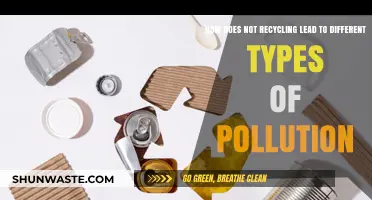 Recycling: Preventing Pollution and Protecting Our Planet