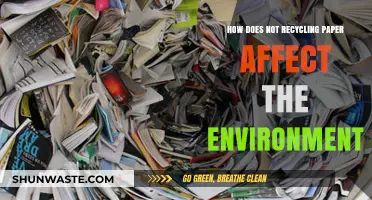 Skipping Paper Recycling: The Hidden Environmental Costs and Consequences