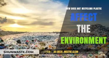 Skipping Plastic Recycling: Devastating Environmental Consequences and Long-Term Impacts