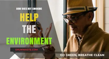 Quit Smoking, Save the Planet: Environmental Benefits of a Smoke-Free Life