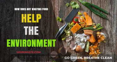 Reduce Food Waste, Save the Planet: Eco-Friendly Tips for a Greener Future