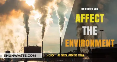 Nitrogen Oxides: Environmental Impact and Long-Term Ecological Consequences