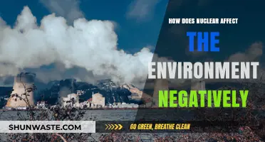 Nuclear Energy's Dark Side: Environmental Impacts and Long-Term Consequences