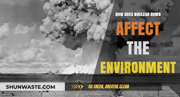 Nuclear Bombs' Devastating Environmental Impact: Long-Term Consequences Explained