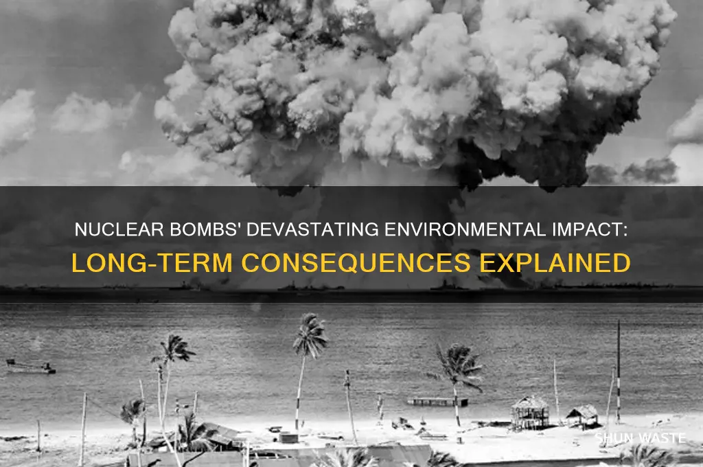 how does nuclear bomb affect the environment
