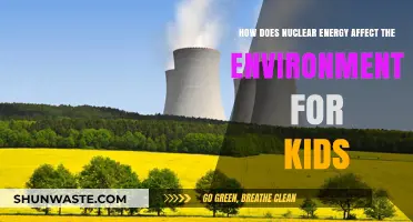 Exploring Nuclear Energy: Environmental Impact Explained for Young Learners