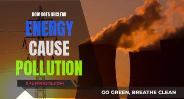 Unveiling the Dark Side: Nuclear Energy's Hidden Pollution Impact