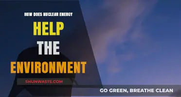 Nuclear Energy: A Clean Power Source for Environmental Sustainability