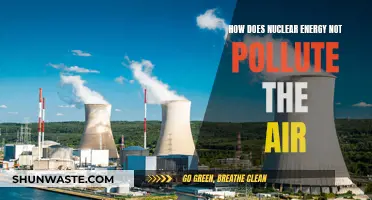 Nuclear Energy: Clean Air, No Pollution