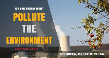 Nuclear Energy's Environmental Impact: Pollution and Contamination