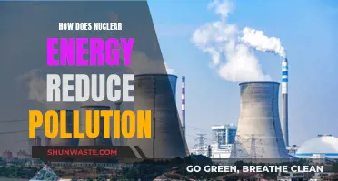 Nuclear Energy: Powering Pollution-Free Futures