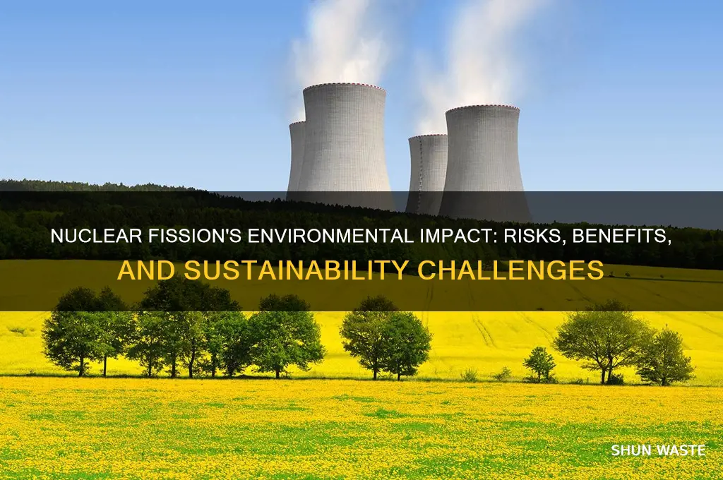 how does nuclear fission affect the environment